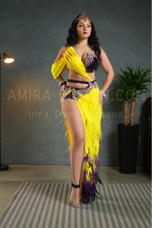 Professional bellydance costume (Classic 299 A_1)